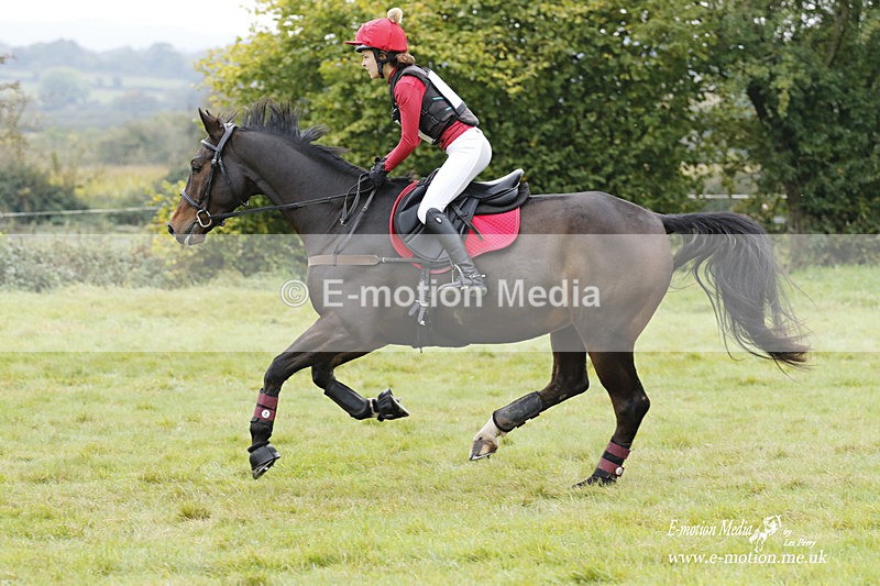  WWHT 171021 1117 - Open Novice (0.80m)  17/10/21