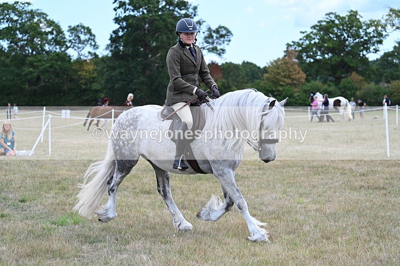 WJ7_4927 - Class 12 Ridden Cob