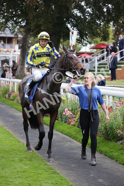 yr09102021r5-31 - Race 5 3.50pm Coral ebfstallions.com Novice Stakes