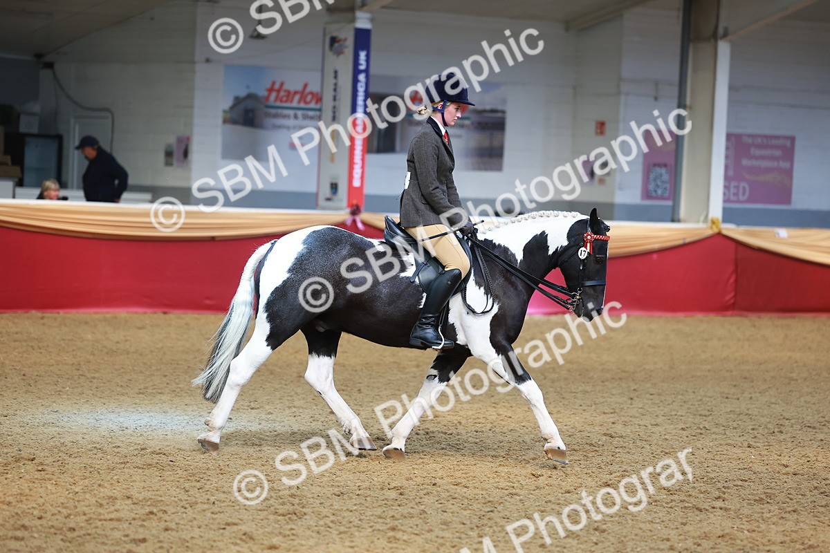 SBM_10685 - Class 103 - HOYS Veteran Qualifier - Ridden Pre Vet