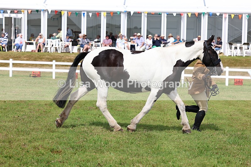 3E7A0064 - Class 5: Rising Star Lightweight/Heavyweight Cobs