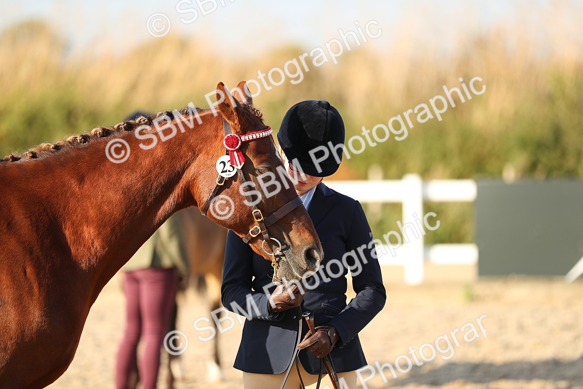 SBM_08971 - Class 29 IH Veteran Pony