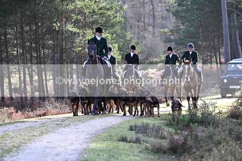 WJ7_7642 - Line 3 (no line 4 or 5)