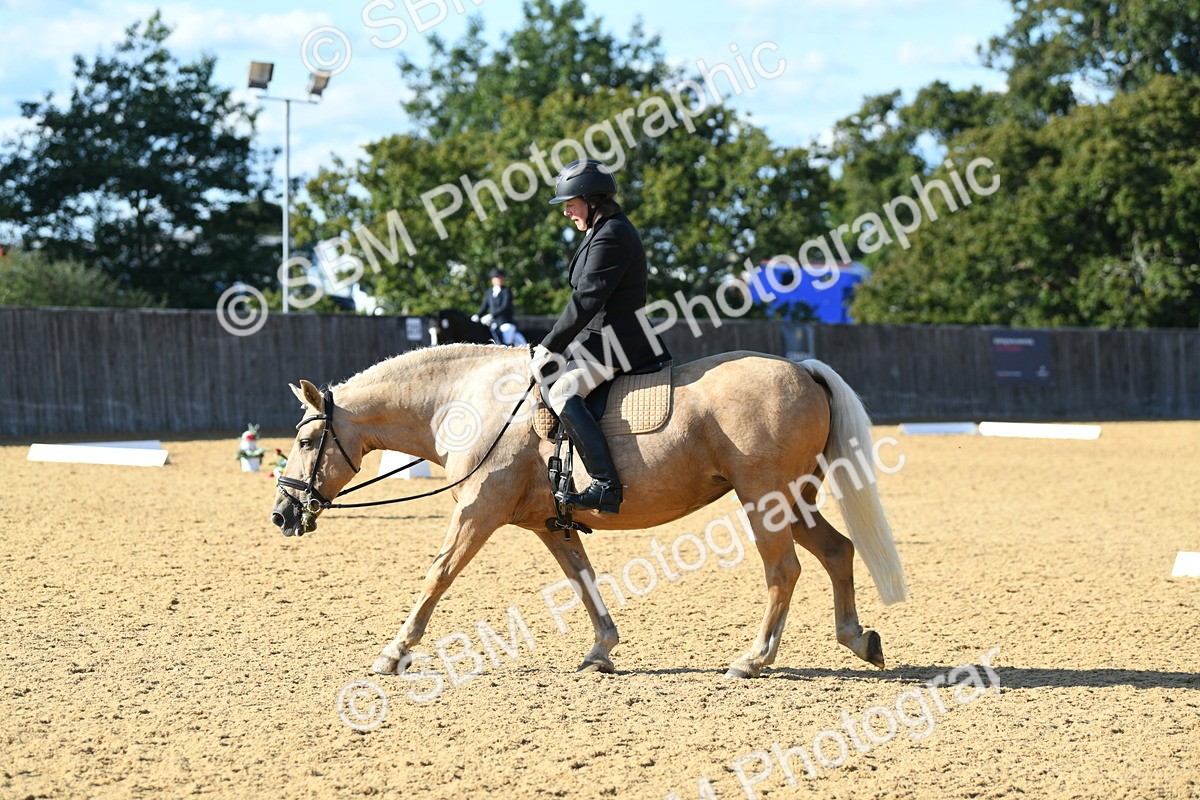 SBM_27254 - D16 - Small Tour Championship - Novice 28