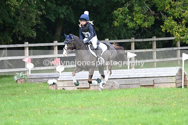 WJ7_4587 - 60cm Time 11:03 to 11:10