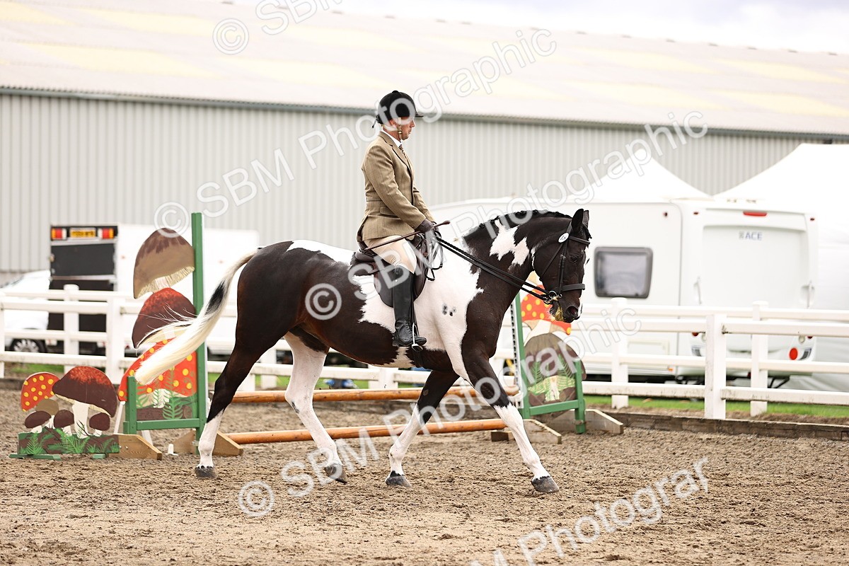 SBM_00535 - Class 53 - Ridden Competition Horse Pony