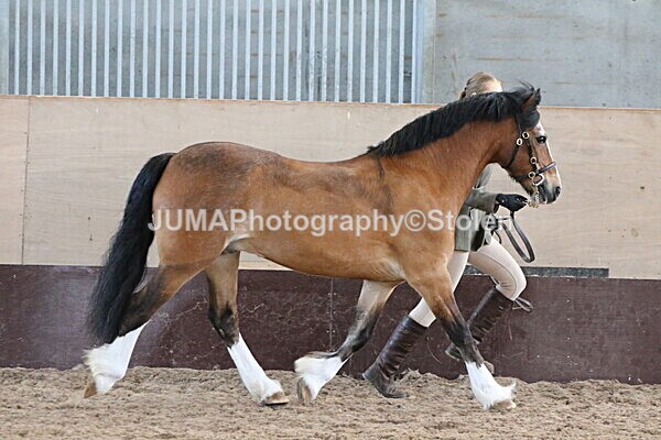 SIAL9463 - Indoor Classes