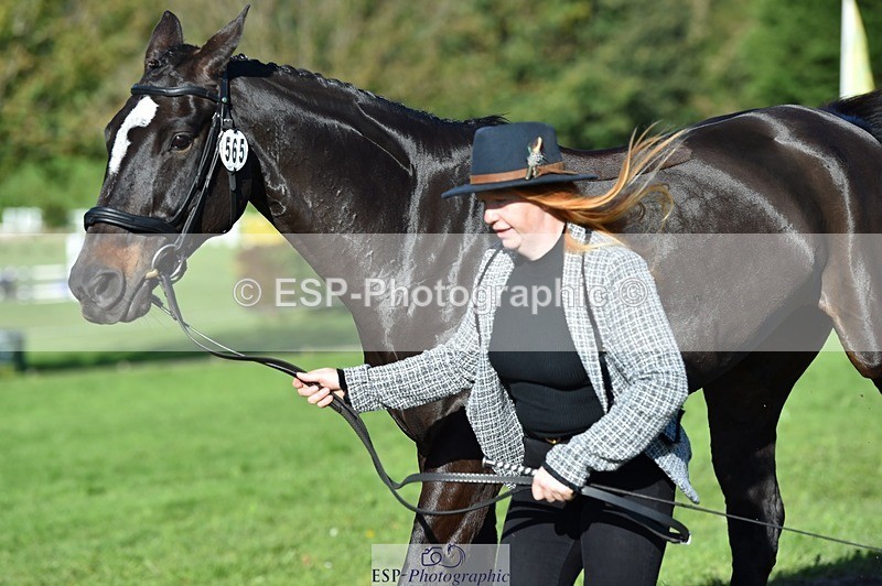 231022-111408-23829 - 565-LITTLE.M.II-Charlotte.Radley-TrotUp+SJ