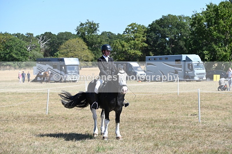 WJ6_8452 - Class 37a Best Loan Pony Ridden