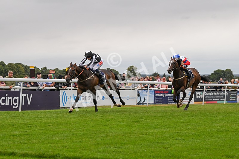 150824-Race 5-Pons Aelius-8311 - Race 5