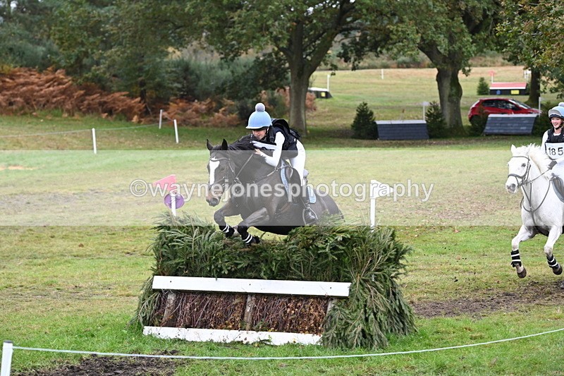 WJ6_3082 - 80cm Cam 1 Pairs Time 12:19 to 12:49