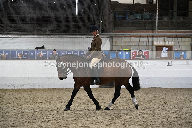 WJ7_3980 - Class 17 Ridden Cob