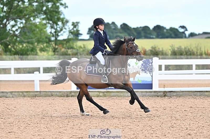 240723A-165616-00293 - 70cm