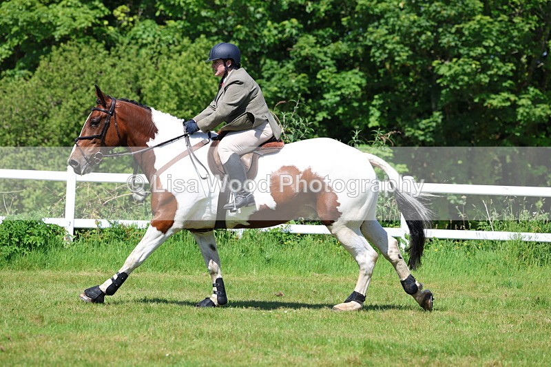 3E7A6893 - Class 30: Novice Working Hunter