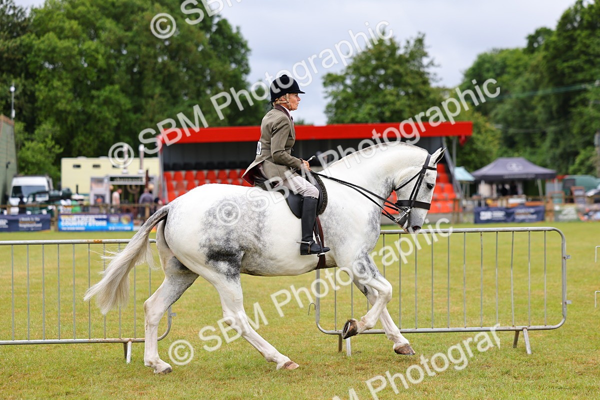 SBM_02503 - Class 9-11 Side Saddle including LIHS Rising Star Ladies Show Horse