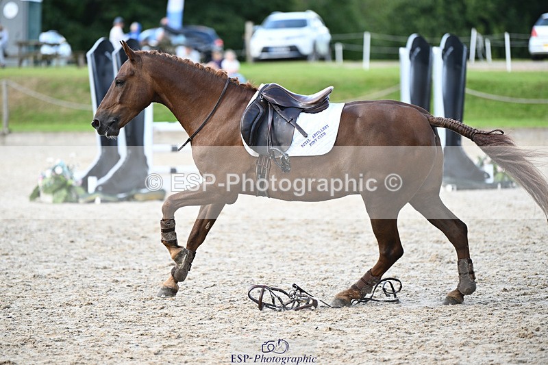 240824X-155051-29785 - 80cm Round 2 15.30 to 16.50