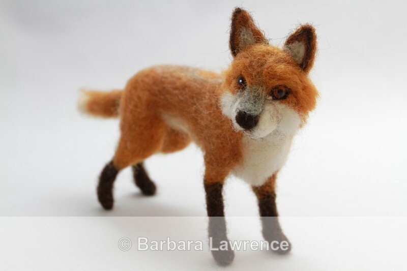 Fox - Gallery