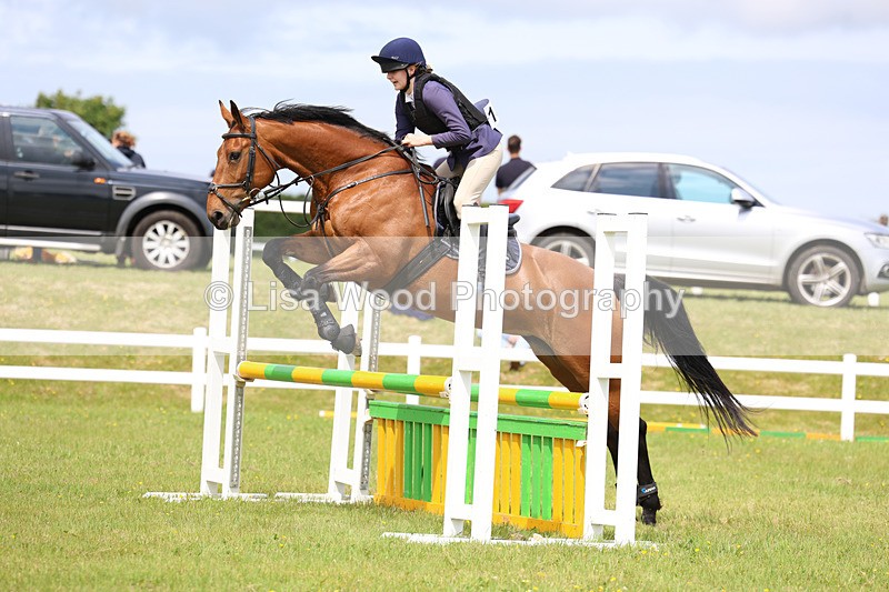 3E7A7633 - Class 13: Senior British Novice/90cm open