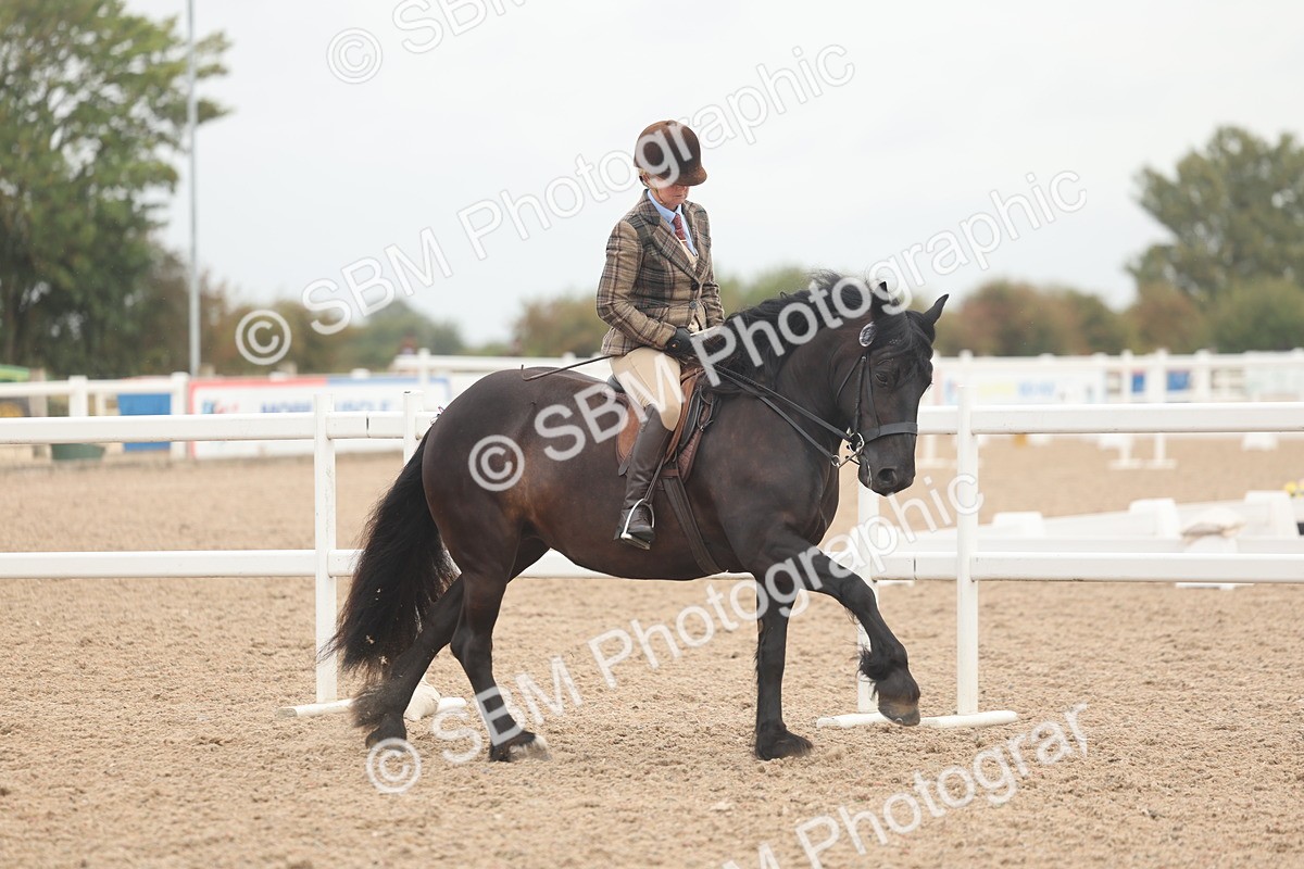 SBM_01880 - Class 14 - Ridden M&M Wildcard