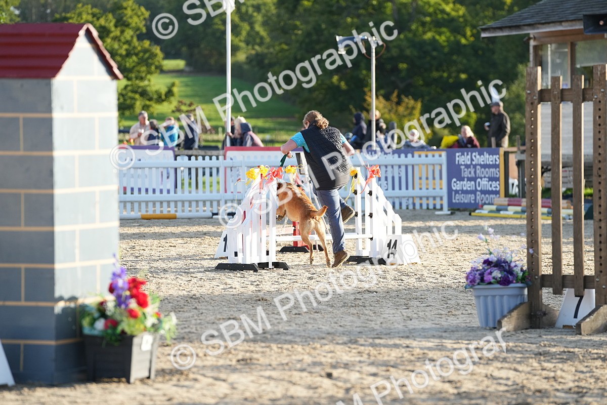 SBM_29401 - J44 - Horse & Hound Open 70cm