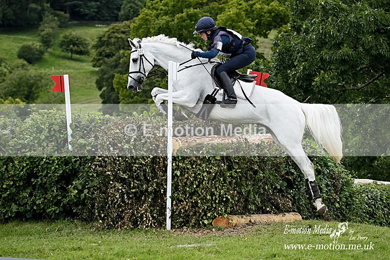 060817 -587a - Equestrian