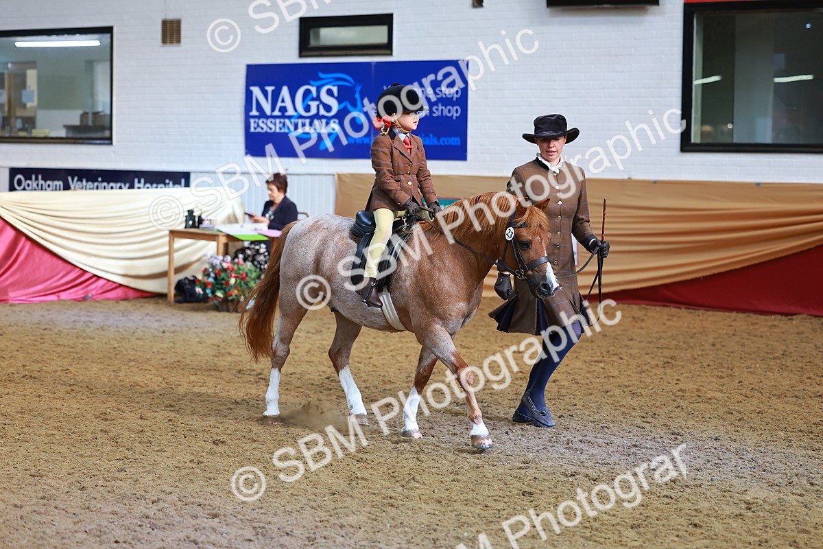 SBM_09561 - Class 102 - HOYS Veteran Qualifier - Ridden Veteran