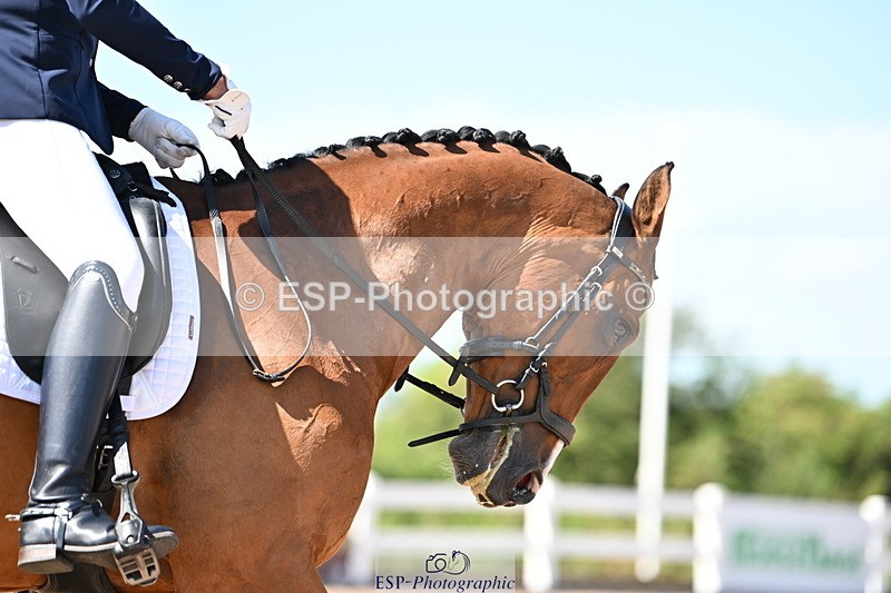 240816A-143037-05419 - 222-Miranda.Cooke-Bon.Amico