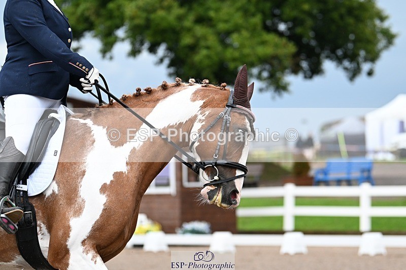 250907-104004-06947 - 016-Sarah.canningJohnny.Knoxville