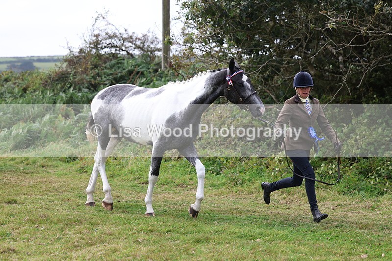 3E7A5688 - In Hand Championship