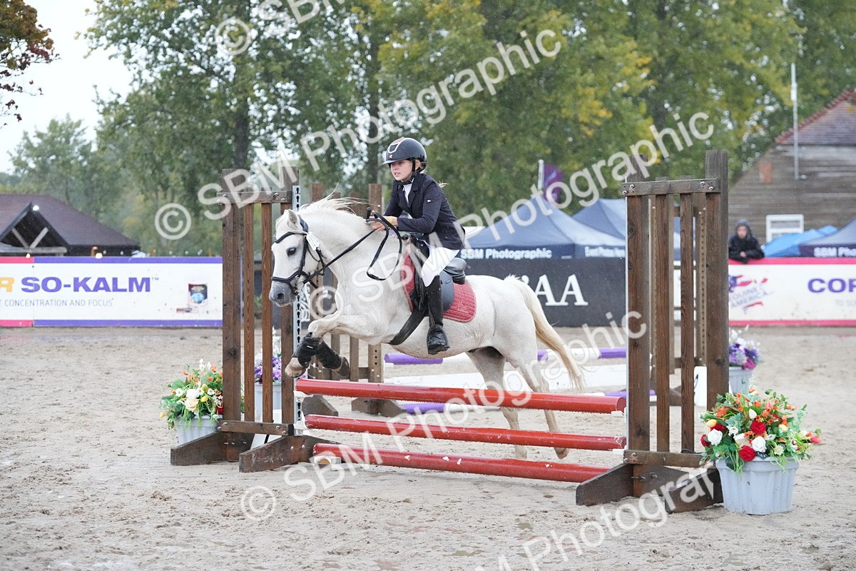 SBM_33591 - J5 - Junior Pony 50cm Championship