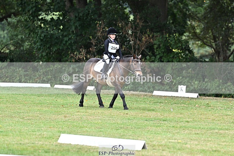 250820A-102538-02570 - Start to 11am