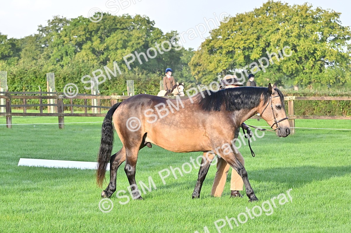 SBM_32546 - S15 - Top Turnout In Hand