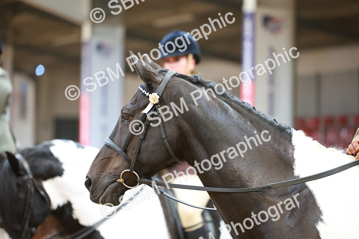 SBM_09693 - Class 102 - HOYS Veteran Qualifier - Ridden Veteran