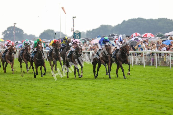 100923-Race 6-Anjo Bonita-3985 - Race 6 4.25pm Hanson Springs 60th Anniversary Handicap at York