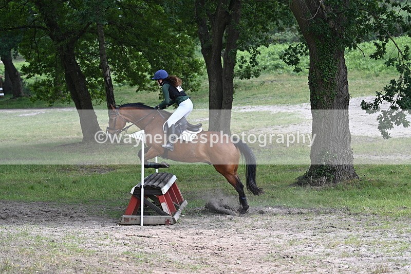 WJ7_9808 - Time 12:15 to 12:44