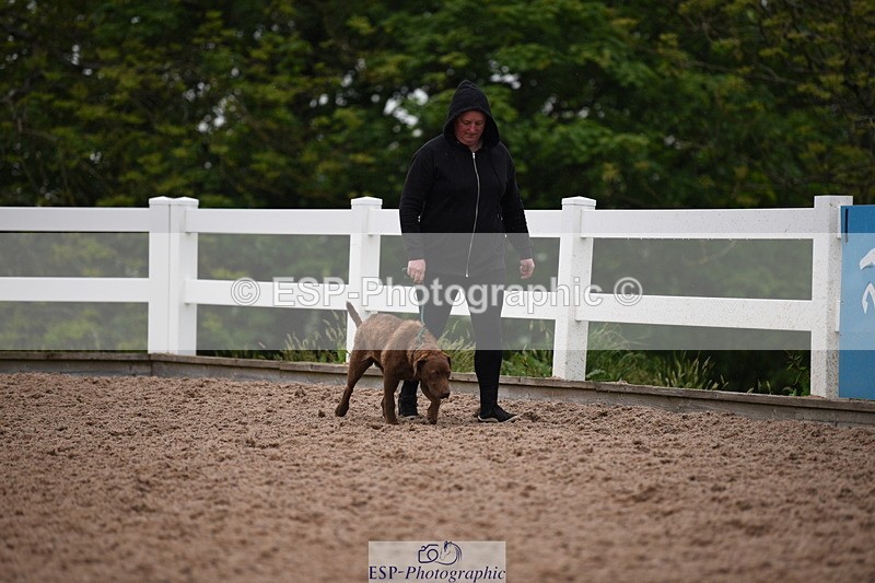 240518A-124752-01202 - Cls 5 Best Purebred