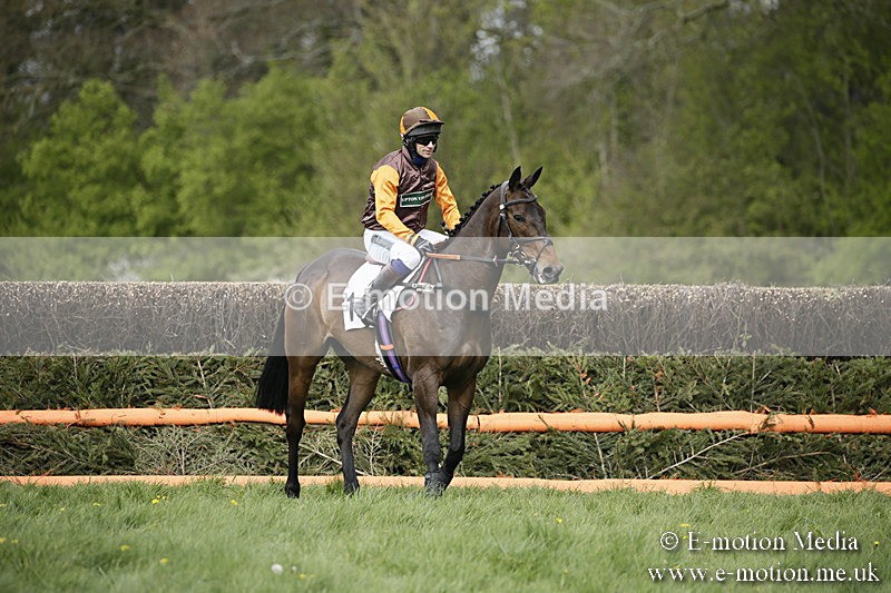 PtP 170417 158 - Old Berks Point-to-Point Lockinge 17/04/17