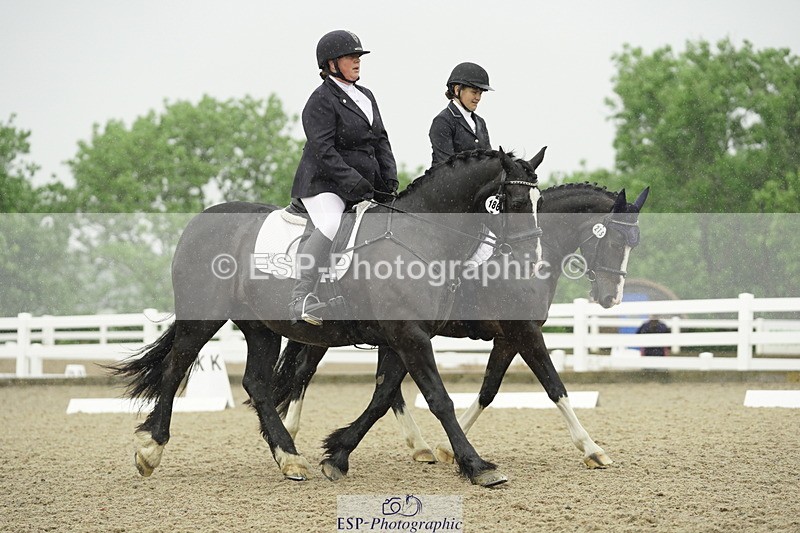 230708A-123642-00460 - BRC Pairs 5