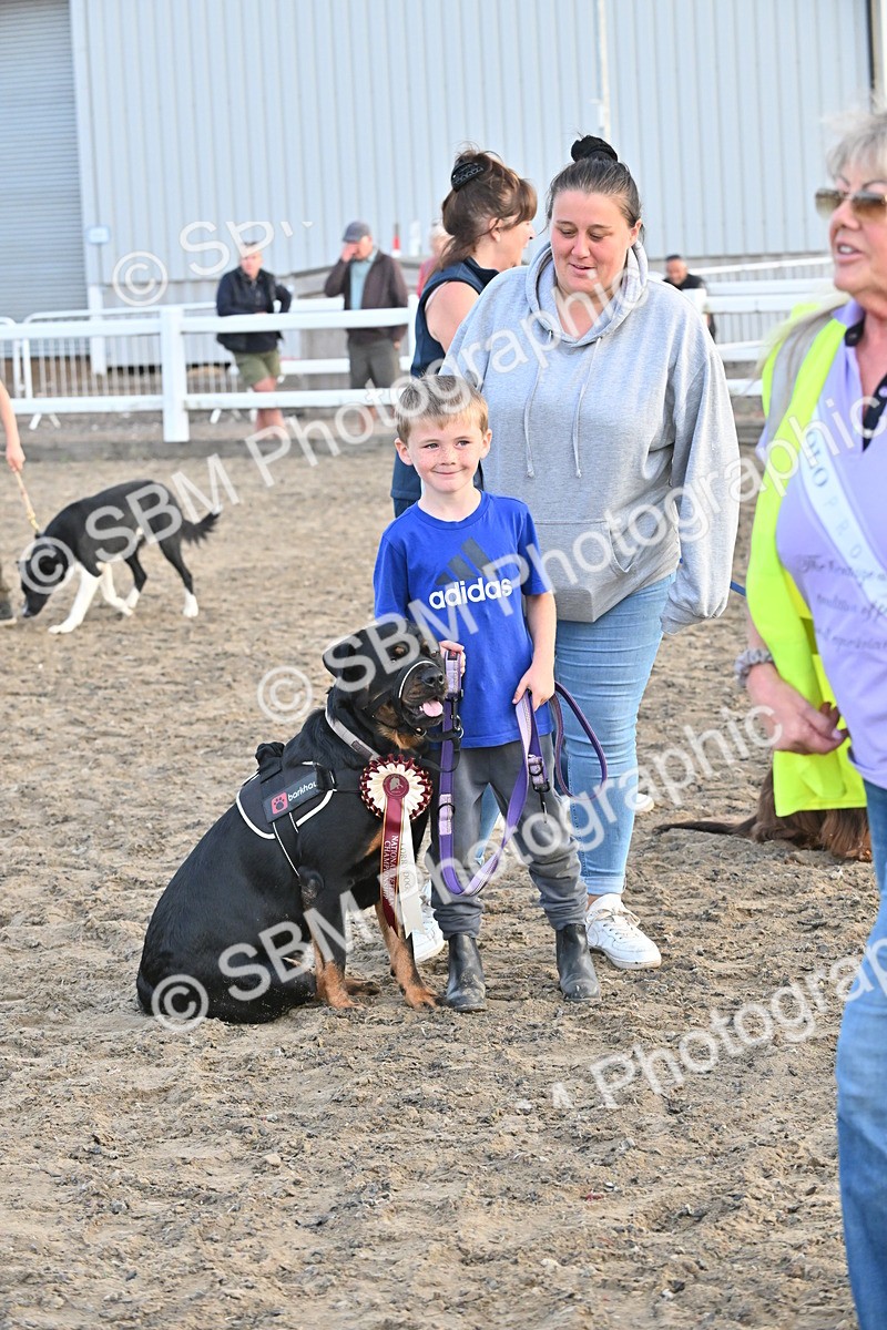 SBM_09638 - Lorry Dogs