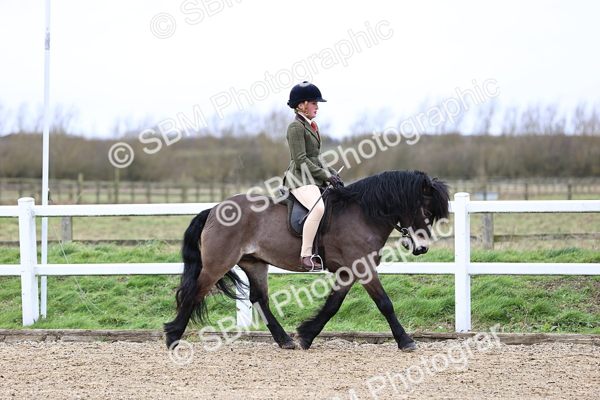 SBM_006745 - Class 29 - 30 - M&M Pure Novice Small-Large Breeds