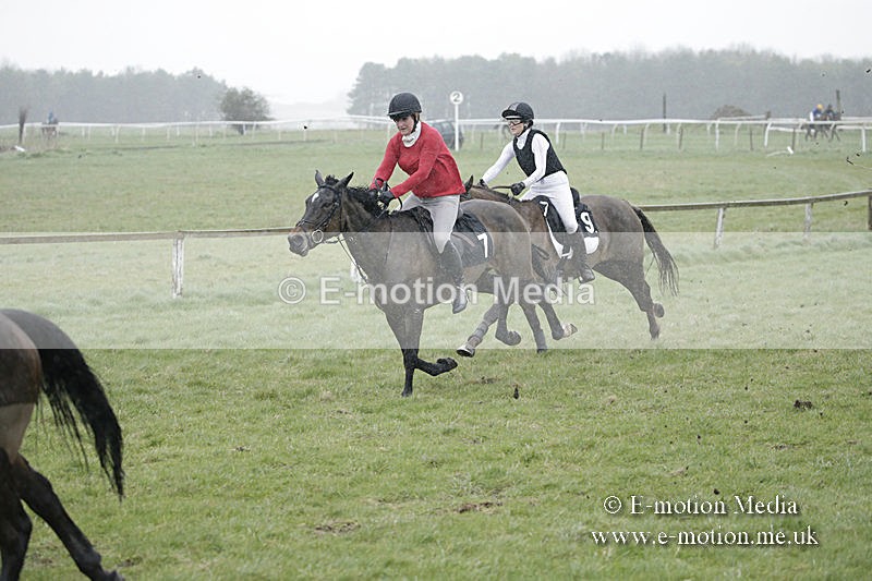 PtP 150320 0022 - New Forest Point-to-Point Larkhill 15/03/20