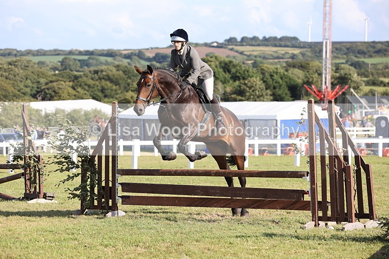 JPP_3125 - Class 21: Working Hunter 80cm