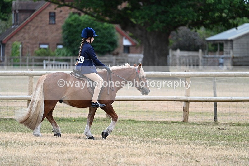 WJ7_0420 - Class 2 Best rider