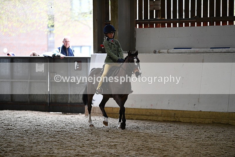 WJ5_6833 - Class 10 Childs Pony