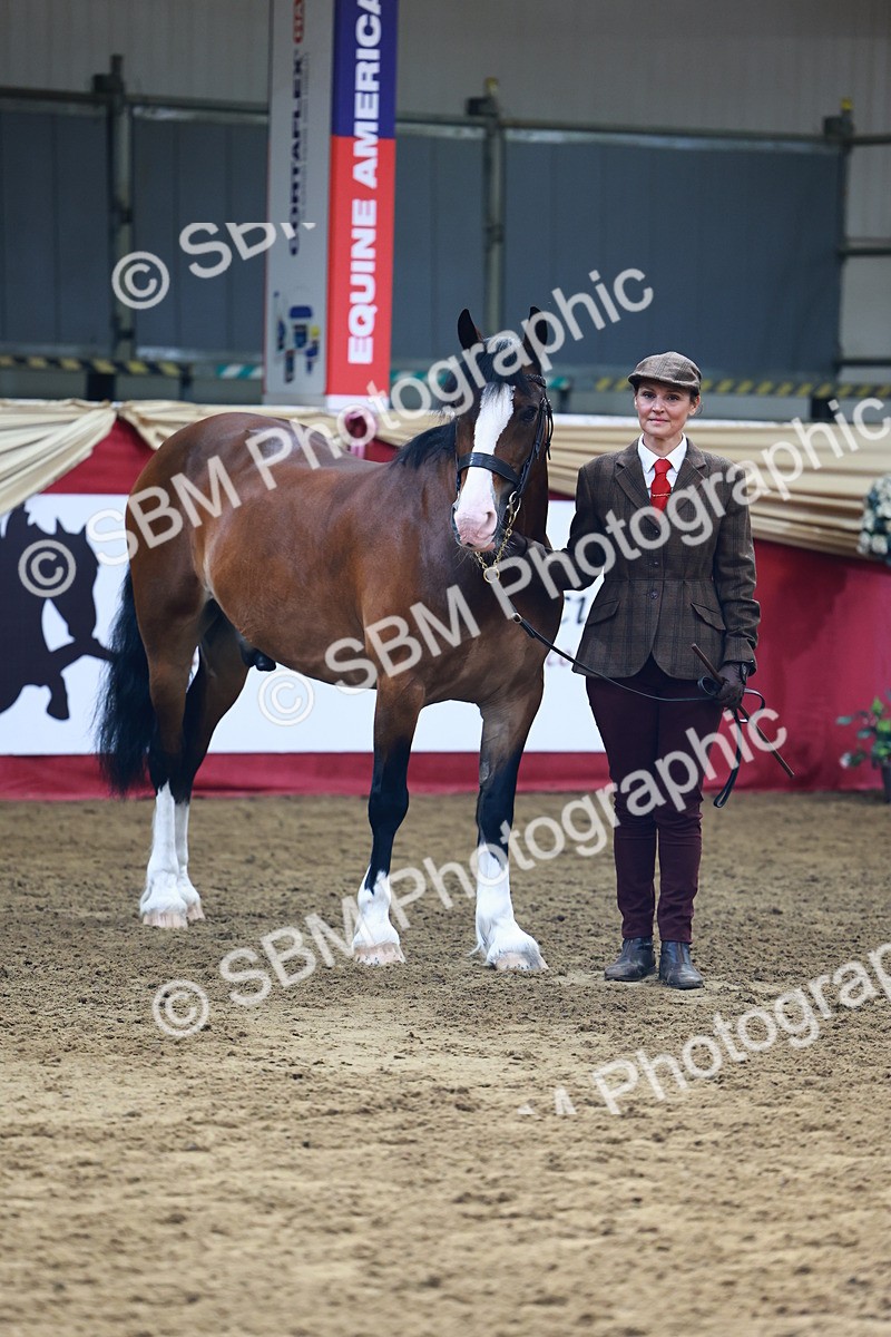 SBM_22203 - Class 902 - Supreme Final - IH Diamond