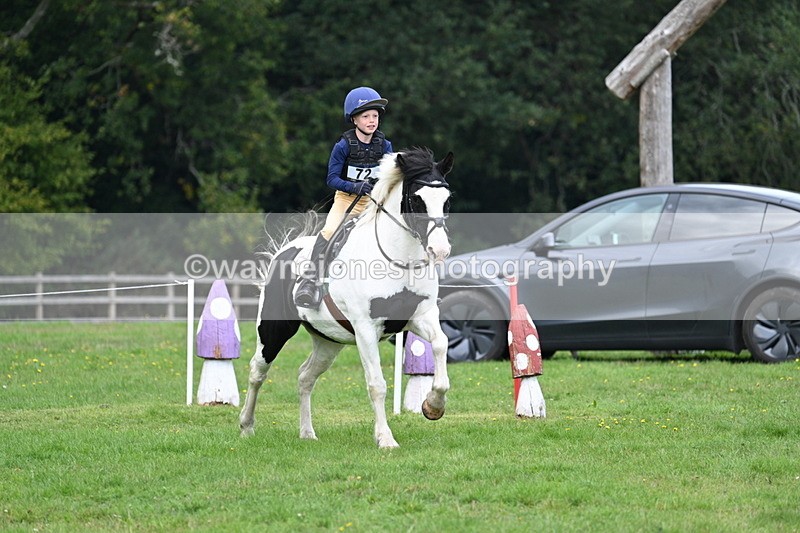 WJ7_4244 - 60cm Time 10:52 to 11:02