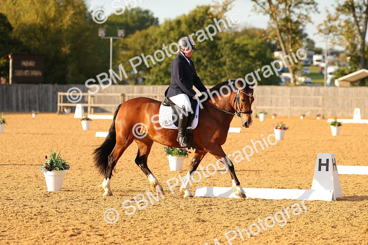 SBM_54511 - D12 - Small Tour Championship - Prelim 18