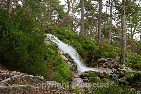 Waterfall in Rothiemurchus Forest - Scotland