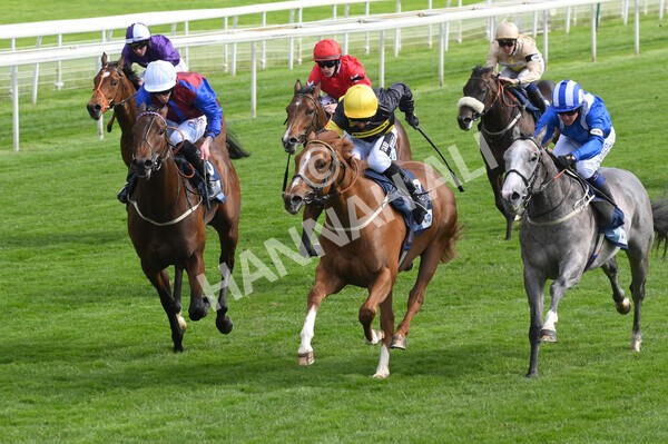 yr12052021r6-9 - Race 6 4.15pm British Stallion Studs EBF Novice Stakes