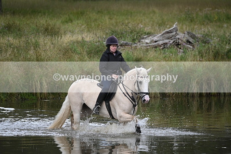 WJ7_4324 - Time at Water 12:52 to 13:22